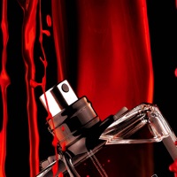 향수 연구 - 향기 참조 및 연금술 뉴스