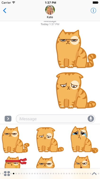 Grumpiest Cat Sticker