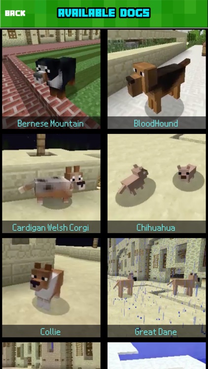 DOG MOD FREE - Dogs Mods Style Guide For Minecraft Game PC Edition