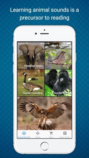 Animal Sounds - Learn & Play in a Fun Way(圖2)-速報App