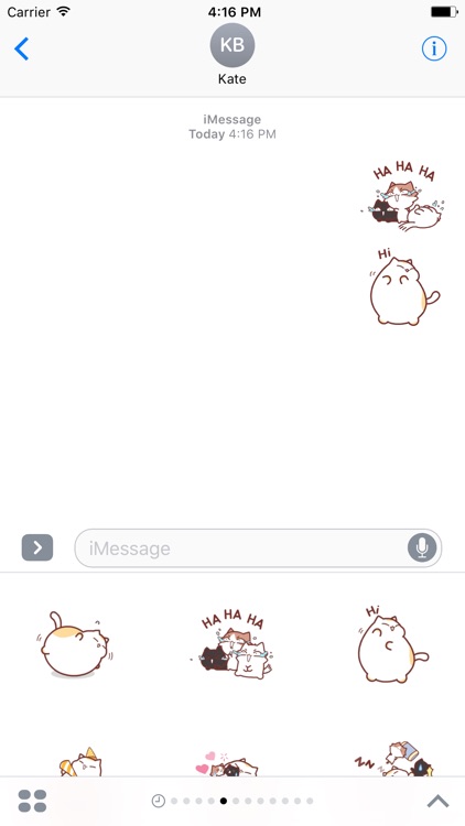 Animated Fluffy Cat Sticker