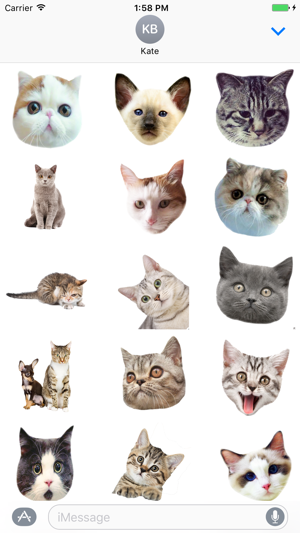 Cute cat with emotion face sticker pack(圖2)-速報App