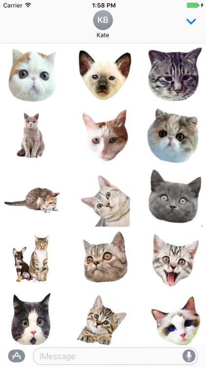Cute cat with emotion face sticker pack