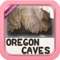 An Ultimate Comprehensive guide to Oregon Caves National Monument