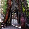 Yosemite National Park Escape