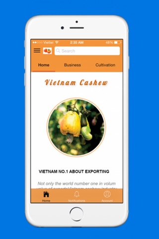 Cashew - Hạt Điều Việt Nam screenshot 2