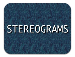 A stereogram is a picture within a picture