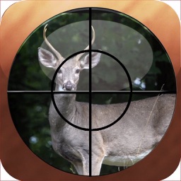 Hunting Map - Colorado