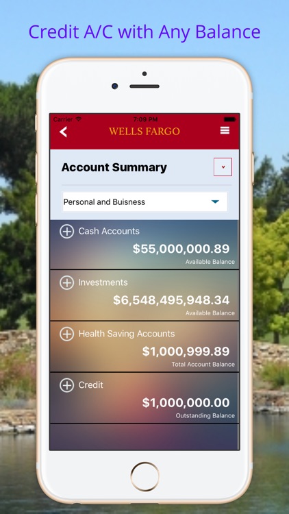Fake Bank Account Pro