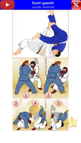 Game screenshot Judo in brief apk