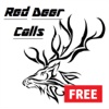 REAL Red Deer Calls & Sounds for Hunting