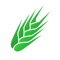 Firstly, this application is a great tool for quickly calculating fertilizer blends and potential costs but it is NOT a replacement for good judgement or professional advice