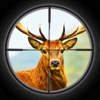 Adventures Of Deer Hunting - Big Black Deer