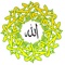 Bathusha 24hrs Tamil & English Islamic Online Radio Digital Media Network