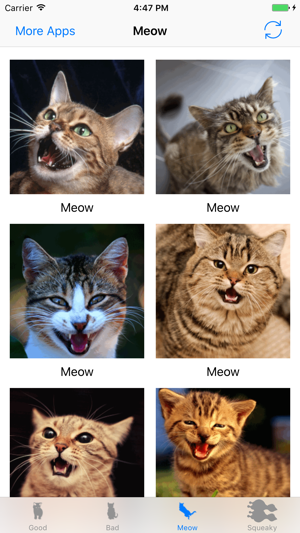 Cats sounds: real and fun sounds for cat lovers(圖4)-速報App