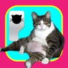 CatMoji-Kitty Emoji Keyboard and iMessage Stickers