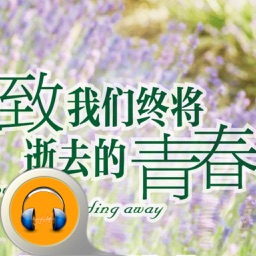 致我们终将逝去的青春-有声经典