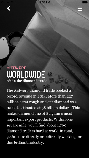 Antwerp Loves Diamonds(圖4)-速報App