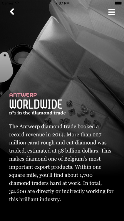 Antwerp Loves Diamonds screenshot-3