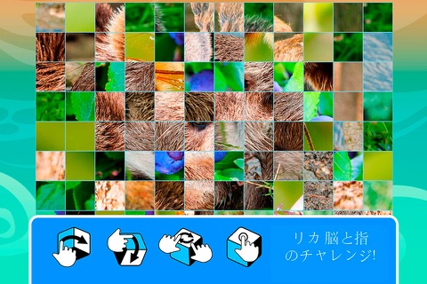 Smart Cubes: forest animals puzzle games for kids screenshot 3