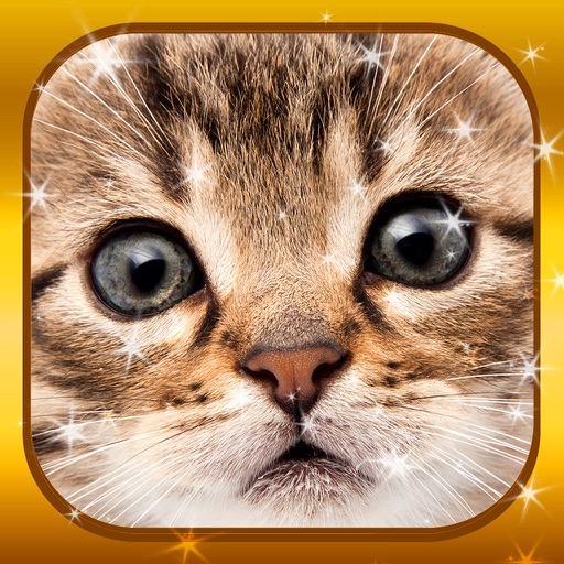 Magic Puzzles - Pet Jigsaw Puzzle Games for Free 2 Icon