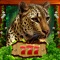 Wild Animals Kingdom Casino 7 Slots Machine Games