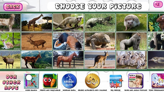 Puzzles of Animals(圖3)-速報App