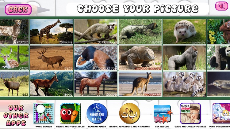 Puzzles of Animals