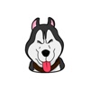 Funny Husky Dog Sticker
