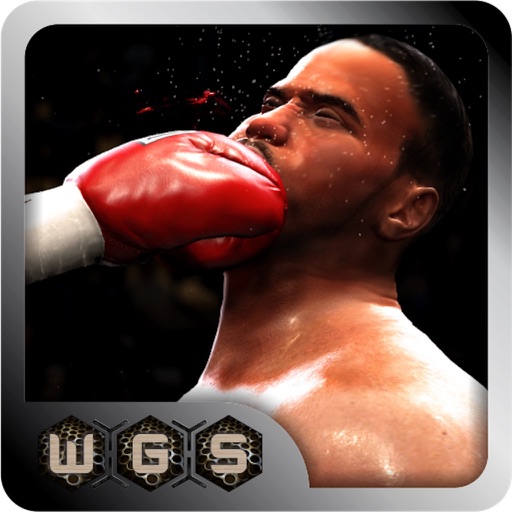 Deadly Virtual champion internatinal Boxing iOS App