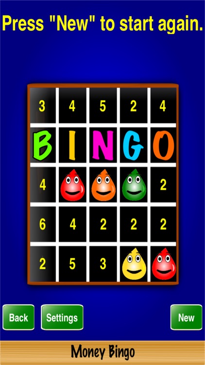 Money Bingo screenshot-3