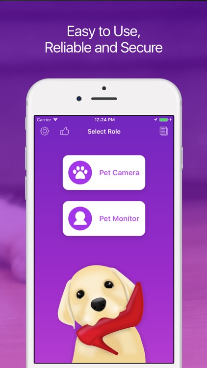 Pet Monitor: Dog and Puppy Camera screenshot-4