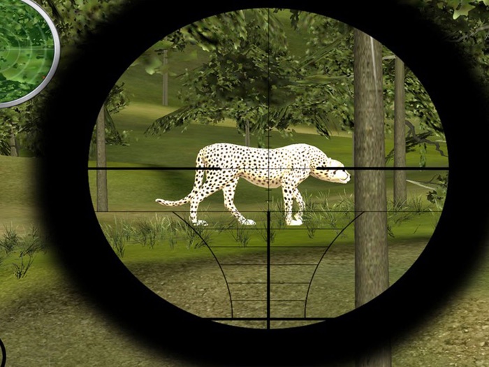 Leopard Shooting