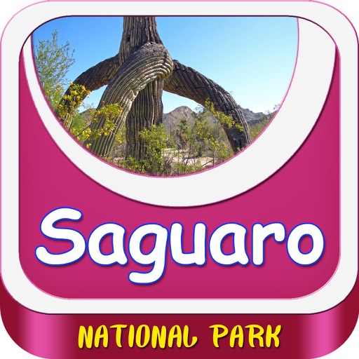 Saguaro National Park United States icon