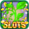 Lucky Plant Slots: Use your grand gambling strategies to win the beautiful green jackpot