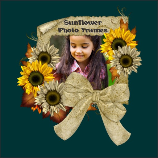 Sunflower Photo Frames Design Blossom Awesome Pics