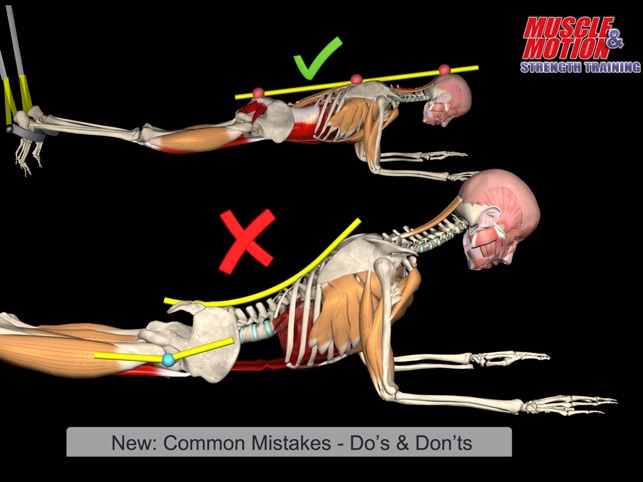 muscle motion на русском muscle motion на русском