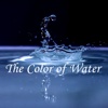 Quick Wisdom from The Color of Water:A Black Man's Tribute to His White Mother