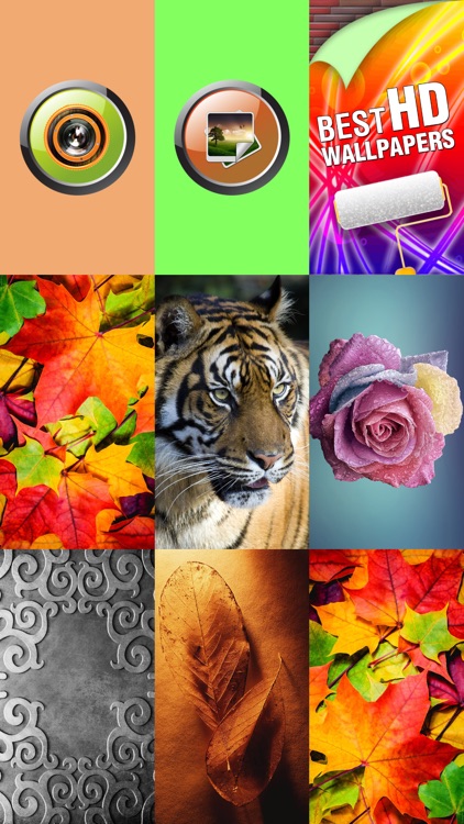 Top Wallpapers 4K UHD Themes screenshot-4