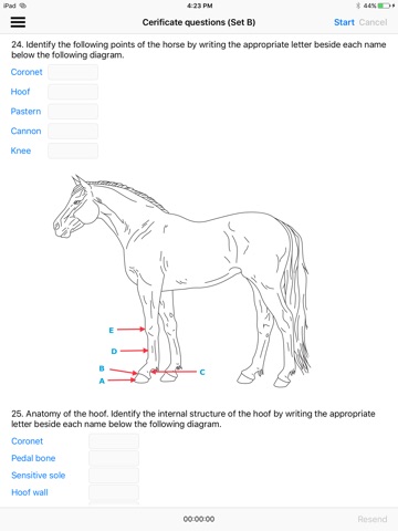 Horse And Farrier screenshot 2