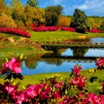 Spring  Rainy Season Garden Wallpapers