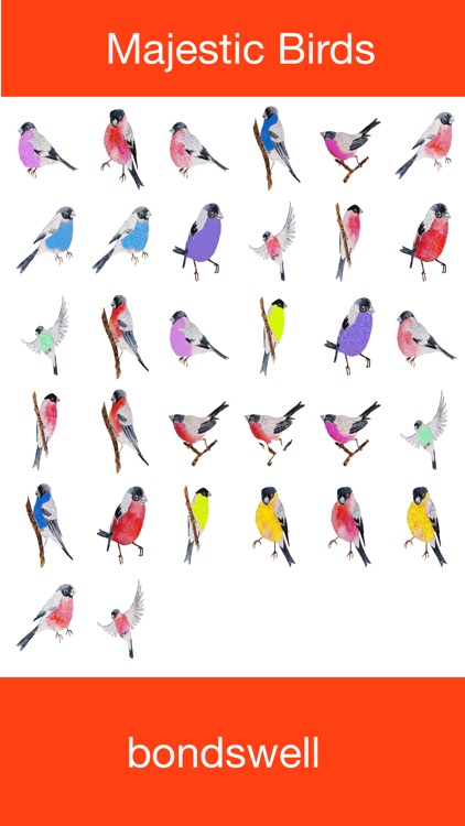 Majestic Birds