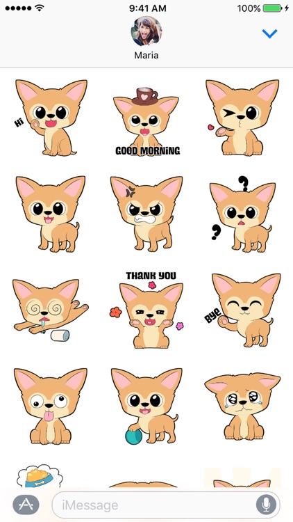 Bella the Chihuahua - Stickers!