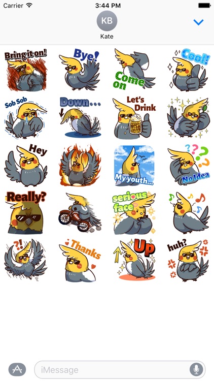 Cheeky Parrot - iMessage Sticker