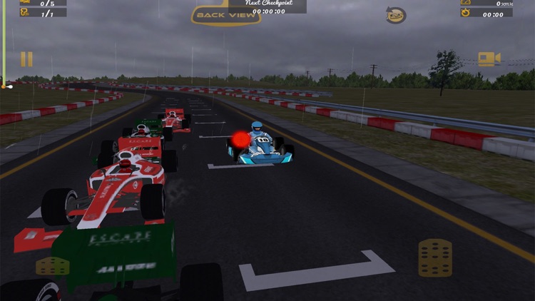 Kart VS Formula Sports Car Race