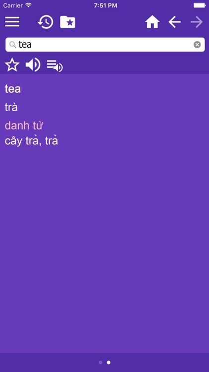 Vietnamese Multilingual dictionary