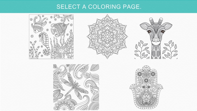 Zen: coloring book for adults