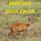 Muntjac Deer Calls Sounds for Big Game Hunting