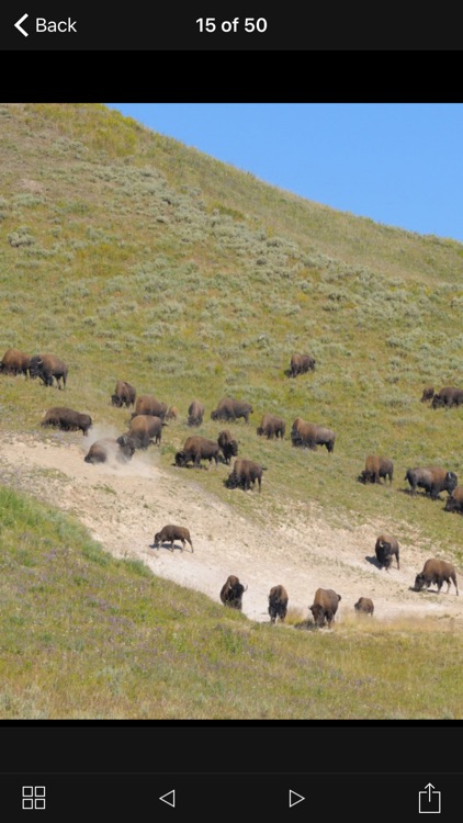 Yellowstone National Park Offline Travel Guide