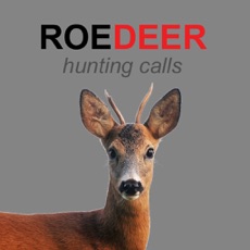 Activities of Roe Deer Calls and Roe Deer Sounds